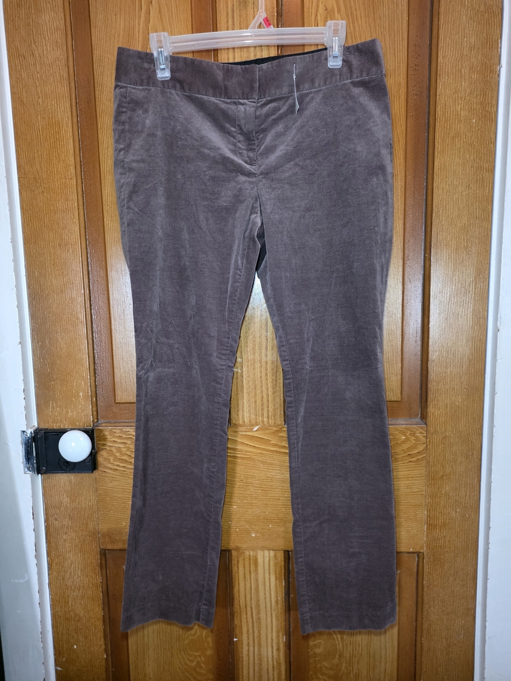LOFT Brown Straight Leg Pants